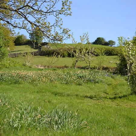 Holiday home Ghyll Close Staveley (Cumbria)